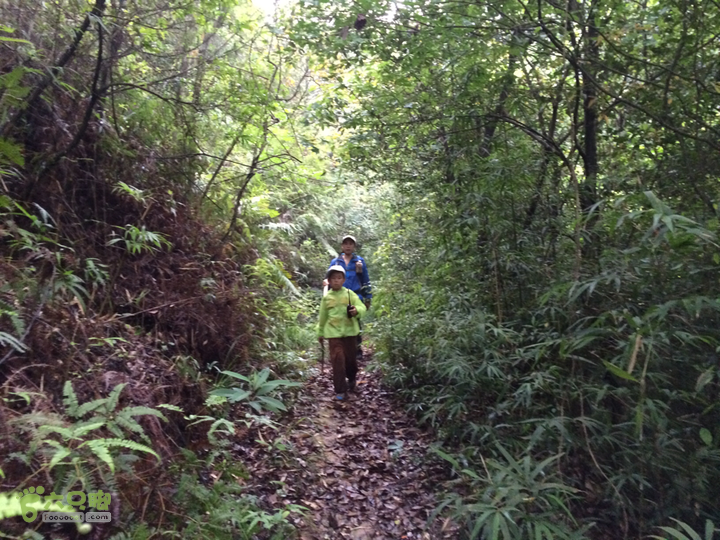 赤鲤村口观音亭--头梳山--火焰石山--金瓜石--观音桥圈越2014-05-10 16:15:07