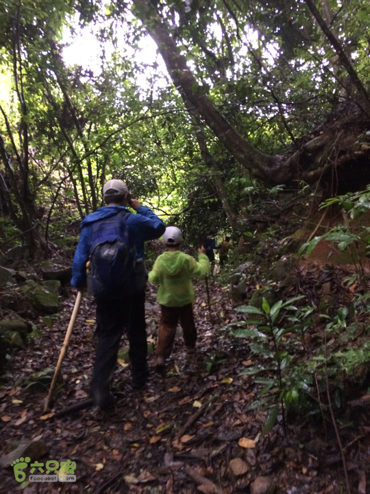 赤鲤村口观音亭--头梳山--火焰石山--金瓜石--观音桥圈越2014-05-10 15:57:30