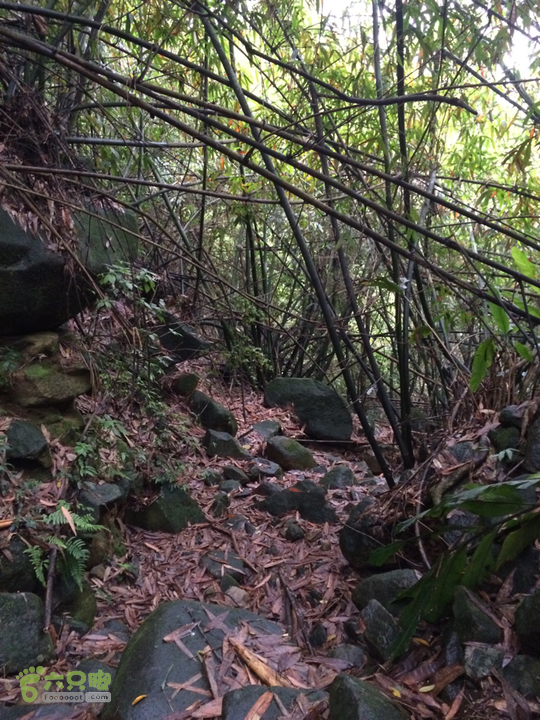 赤鲤村口观音亭--头梳山--火焰石山--金瓜石--观音桥圈越2014-05-10 15:42:58