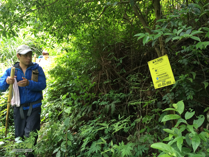 赤鲤村口观音亭--头梳山--火焰石山--金瓜石--观音桥圈越2014-05-10 15:30:00