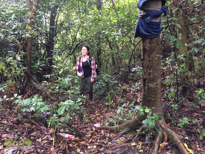 赤鲤村口观音亭--头梳山--火焰石山--金瓜石--观音桥圈越2014-05-10 10:23:07