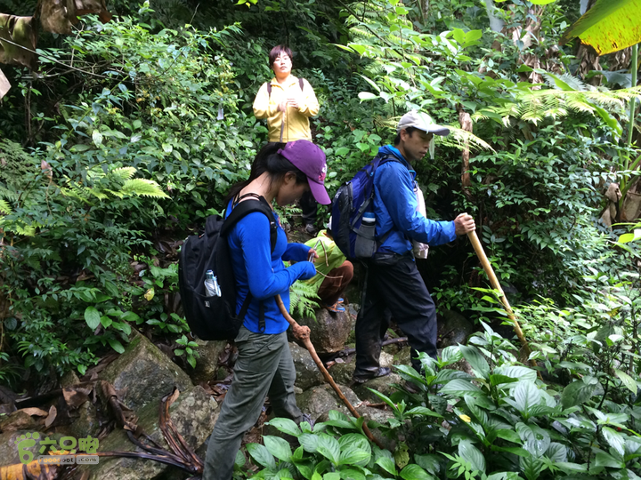 赤鲤村口观音亭--头梳山--火焰石山--金瓜石--观音桥圈越2014-05-10 15:11:29