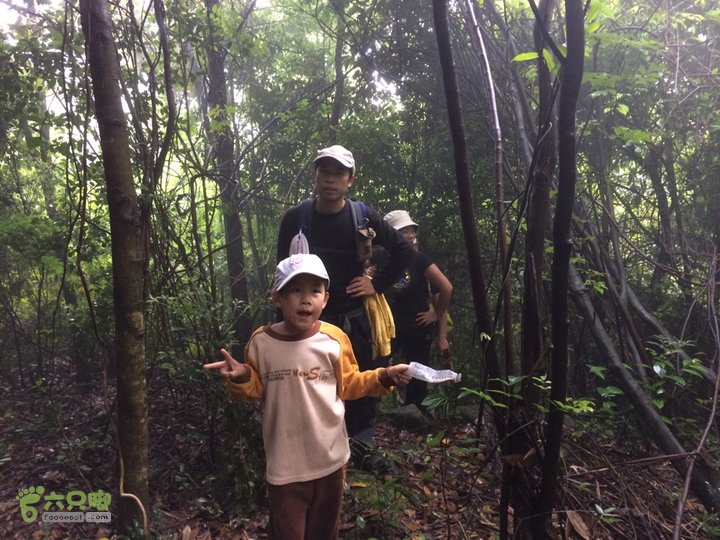 赤鲤村口观音亭--头梳山--火焰石山--金瓜石--观音桥圈越2014-05-10 11:27:47