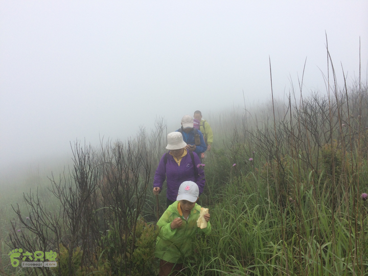 赤鲤村口观音亭--头梳山--火焰石山--金瓜石--观音桥圈越2014-05-10 12:43:57