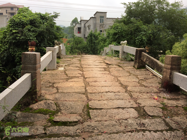 赤鲤村口观音亭--头梳山--火焰石山--金瓜石--观音桥圈越2014-05-10 16:59:31