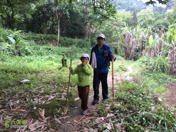 赤鲤村口观音亭--头梳山--火焰石山--金瓜石--观音桥圈越2014-05-10 16:41:47