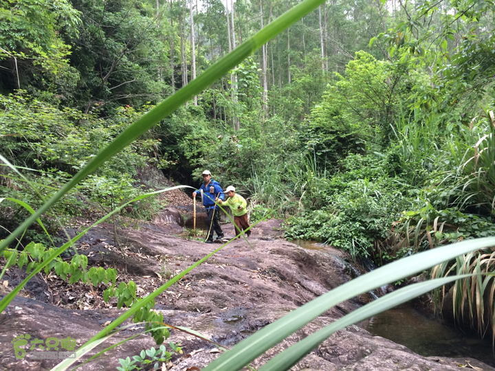 赤鲤村口观音亭--头梳山--火焰石山--金瓜石--观音桥圈越2014-05-10 16:31:01