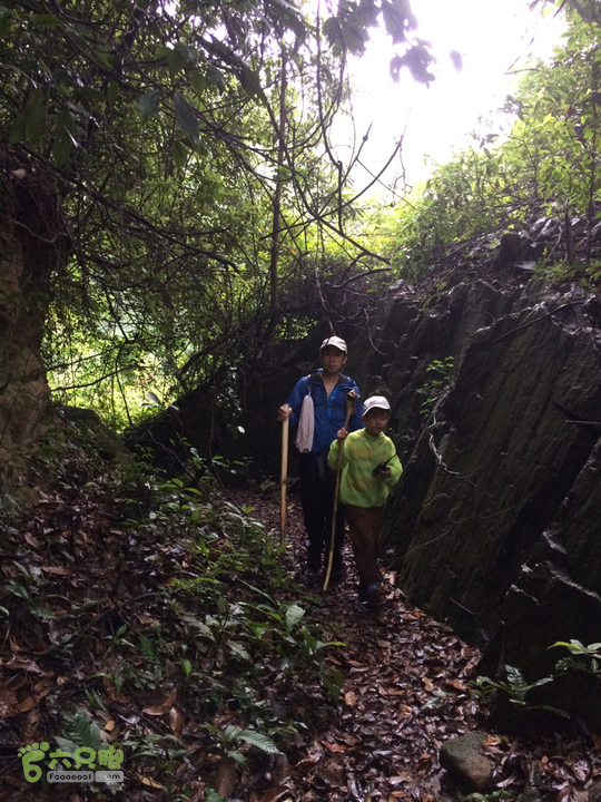 赤鲤村口观音亭--头梳山--火焰石山--金瓜石--观音桥圈越2014-05-10 16:04:06