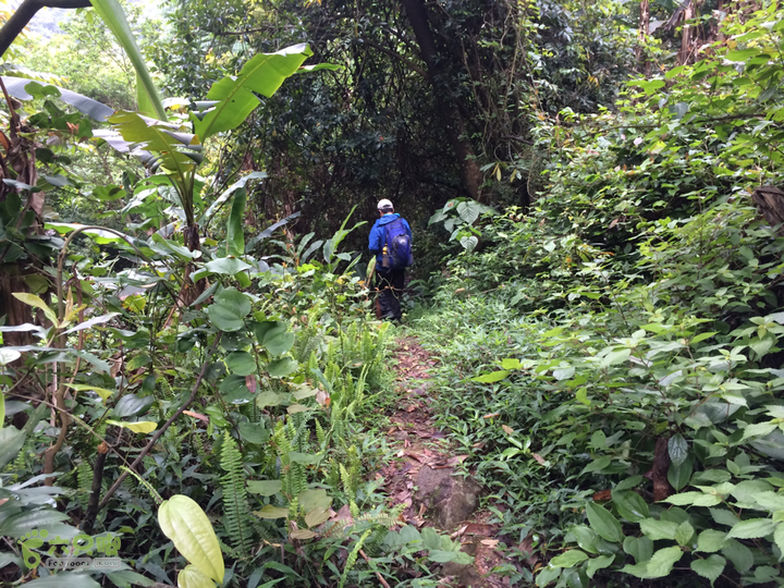 赤鲤村口观音亭--头梳山--火焰石山--金瓜石--观音桥圈越2014-05-10 15:53:37