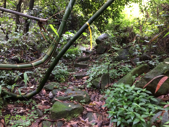 赤鲤村口观音亭--头梳山--火焰石山--金瓜石--观音桥圈越2014-05-10 15:41:19