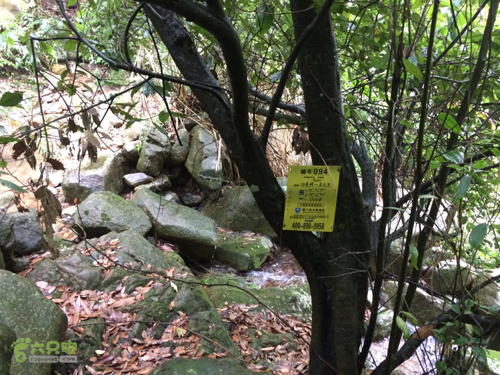 赤鲤村口观音亭--头梳山--火焰石山--金瓜石--观音桥圈越2014-05-10 15:24:54