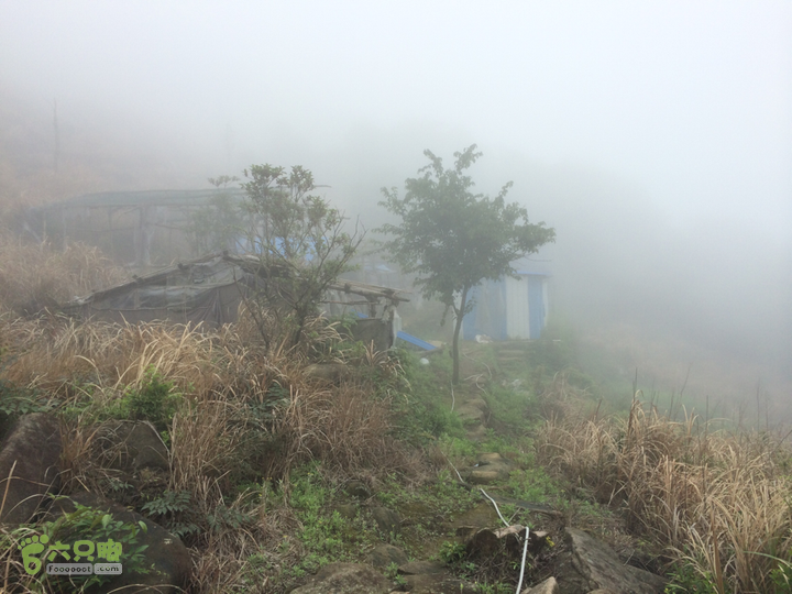 赤鲤村口观音亭--头梳山--火焰石山--金瓜石--观音桥圈越2014-05-10 11:38:33