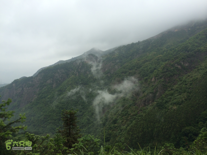 赤鲤村口观音亭--头梳山--火焰石山--金瓜石--观音桥圈越2014-05-10 14:53:11