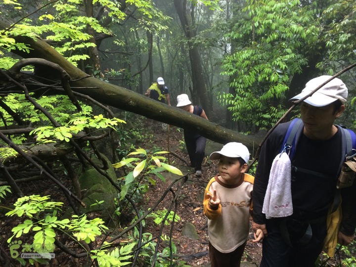 赤鲤村口观音亭--头梳山--火焰石山--金瓜石--观音桥圈越2014-05-10 11:25:29