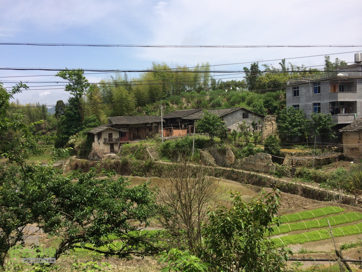 西庄小区站-升山寺-叶洋村-岭头-森林公园-赤桥村圈越2014-05-11 11:05:03
