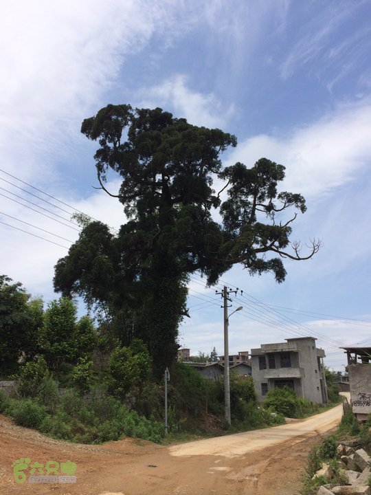 西庄小区站-升山寺-叶洋村-岭头-森林公园-赤桥村圈越2014-05-11 11:09:24