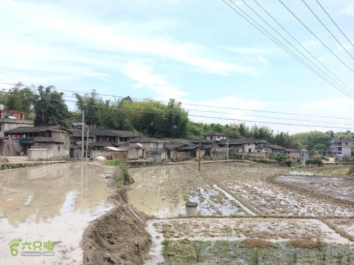 西庄小区站-升山寺-叶洋村-岭头-森林公园-赤桥村圈越2014-05-11 11:12:41