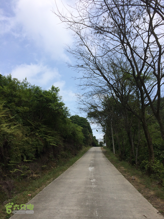 西庄小区站-升山寺-叶洋村-岭头-森林公园-赤桥村圈越2014-05-11 11:55:06