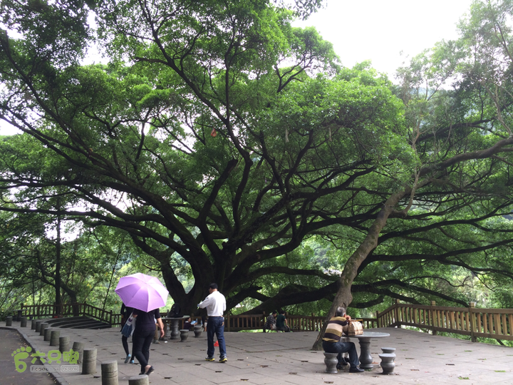 西庄小区站-升山寺-叶洋村-岭头-森林公园-赤桥村圈越2014-05-11 13:57:07