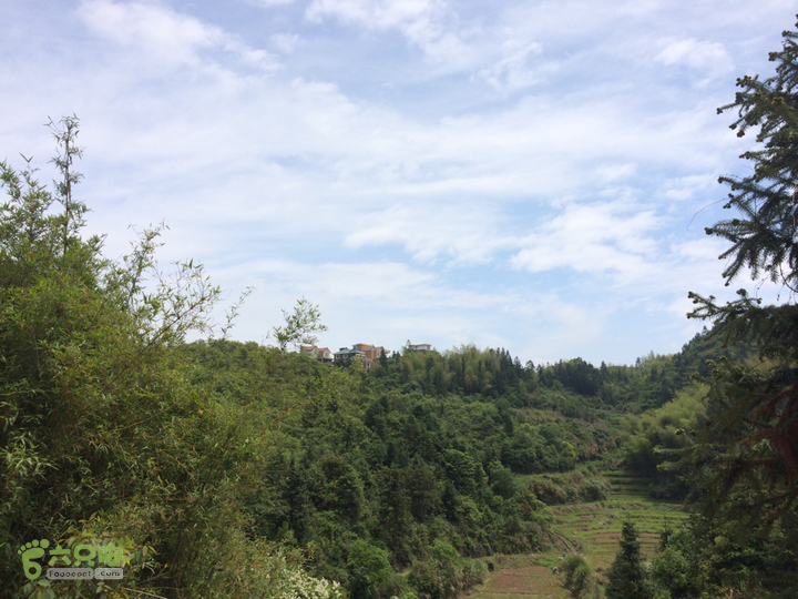 西庄小区站-升山寺-叶洋村-岭头-森林公园-赤桥村圈越2014-05-11 10:48:21