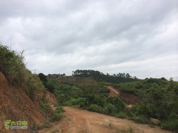 西庄小区站-升山寺-叶洋村-岭头-森林公园-赤桥村圈越2014-05-11 10:19:45