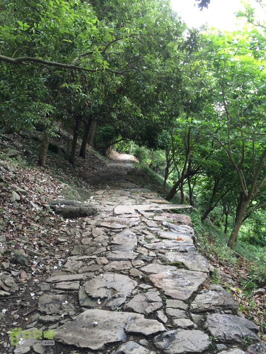 西庄小区站-升山寺-叶洋村-岭头-森林公园-赤桥村圈越2014-05-11 13:20:13