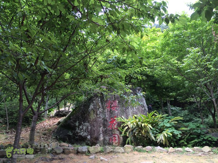 西庄小区站-升山寺-叶洋村-岭头-森林公园-赤桥村圈越2014-05-11 13:38:36