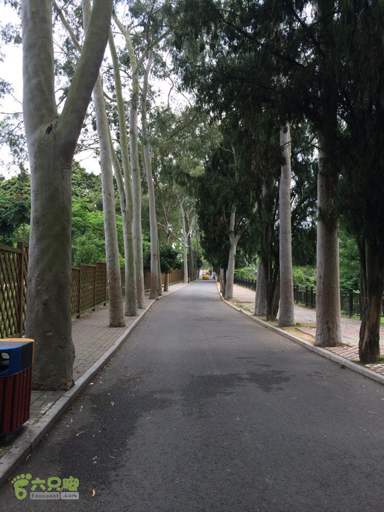 西庄小区站-升山寺-叶洋村-岭头-森林公园-赤桥村圈越2014-05-11 14:01:03