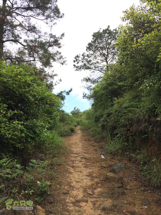 西庄小区站-升山寺-叶洋村-岭头-森林公园-赤桥村圈越2014-05-11 09:32:53