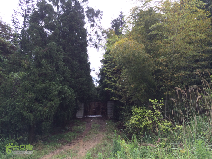 西庄小区站-升山寺-叶洋村-岭头-森林公园-赤桥村圈越2014-05-11 09:40:21