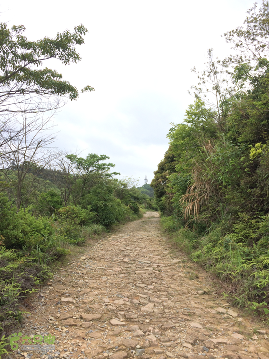 西庄小区站-升山寺-叶洋村-岭头-森林公园-赤桥村圈越2014-05-11 10:19:31