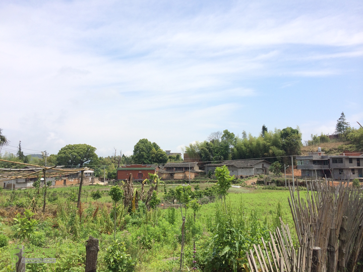 西庄小区站-升山寺-叶洋村-岭头-森林公园-赤桥村圈越2014-05-11 11:01:53