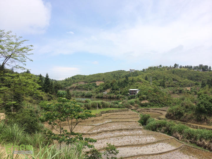 西庄小区站-升山寺-叶洋村-岭头-森林公园-赤桥村圈越2014-05-11 10:48:51