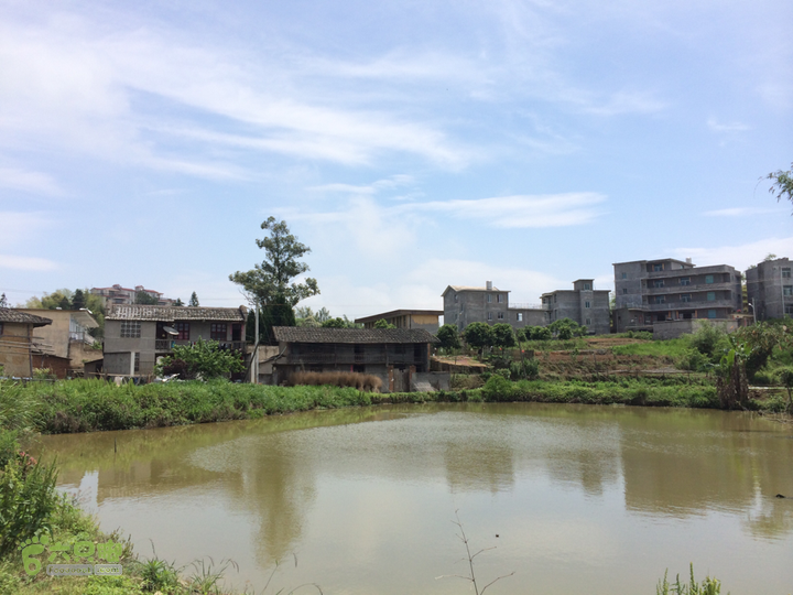 西庄小区站-升山寺-叶洋村-岭头-森林公园-赤桥村圈越2014-05-11 10:59:31
