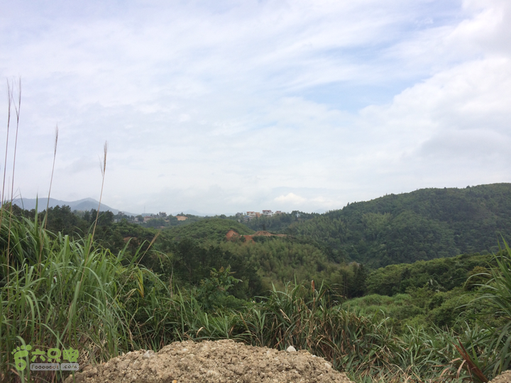 西庄小区站-升山寺-叶洋村-岭头-森林公园-赤桥村圈越2014-05-11 10:37:07