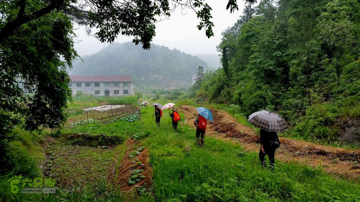 20140517永康飞龙山+高隐殿+黄坟水库环线20140517_111022