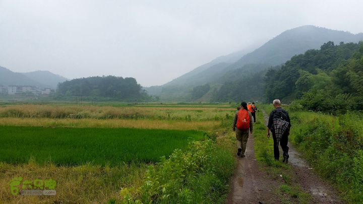 20140517永康飞龙山+高隐殿+黄坟水库环线20140517_115932
