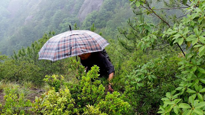 20140517永康飞龙山+高隐殿+黄坟水库环线20140517_132721