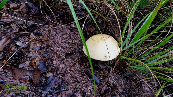 20140517永康飞龙山+高隐殿+黄坟水库环线20140517_132753