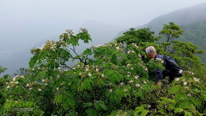 20140517永康飞龙山+高隐殿+黄坟水库环线20140517_135220