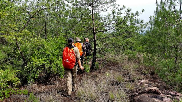 20140517永康飞龙山+高隐殿+黄坟水库环线20140517_145314