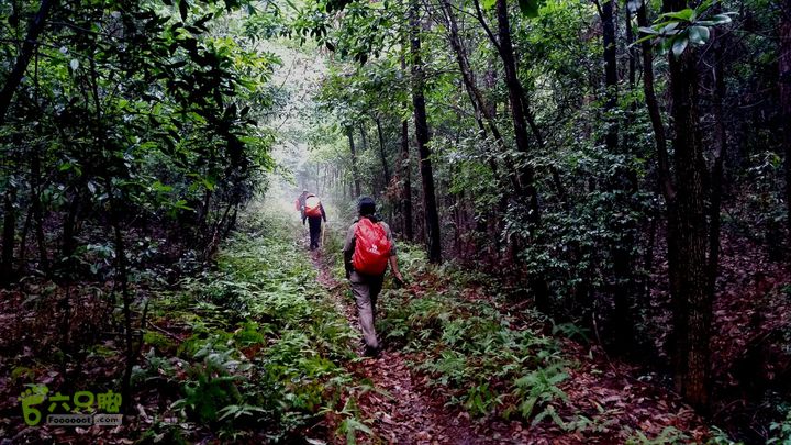 20140517永康飞龙山+高隐殿+黄坟水库环线20140517_150317