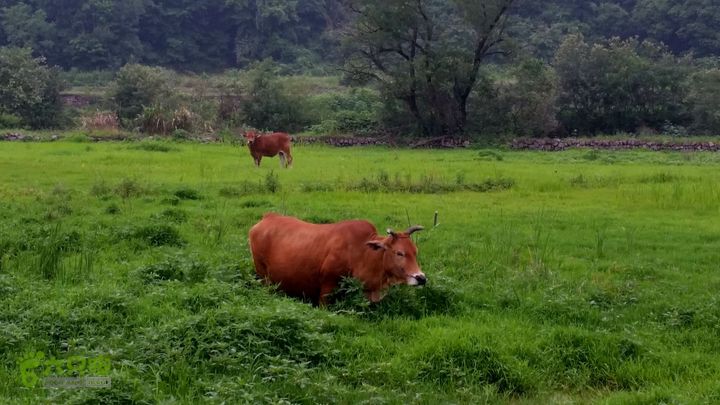 20140517永康飞龙山+高隐殿+黄坟水库环线20140517_160337