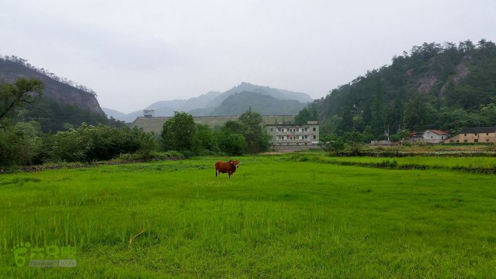 20140517永康飞龙山+高隐殿+黄坟水库环线20140517_160522