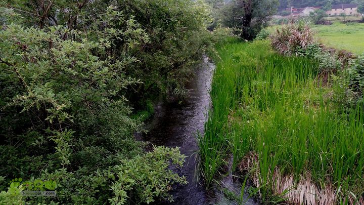 20140517永康飞龙山+高隐殿+黄坟水库环线20140517_160652