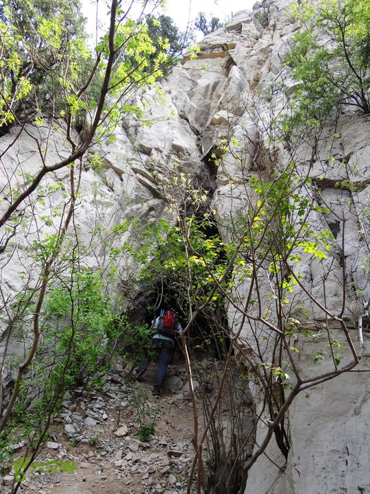 西桐古玉皇山天坑宋家村nEO_IMG_DSC02373