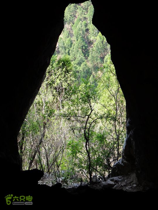 西桐古玉皇山天坑宋家村nEO_IMG_DSC02384