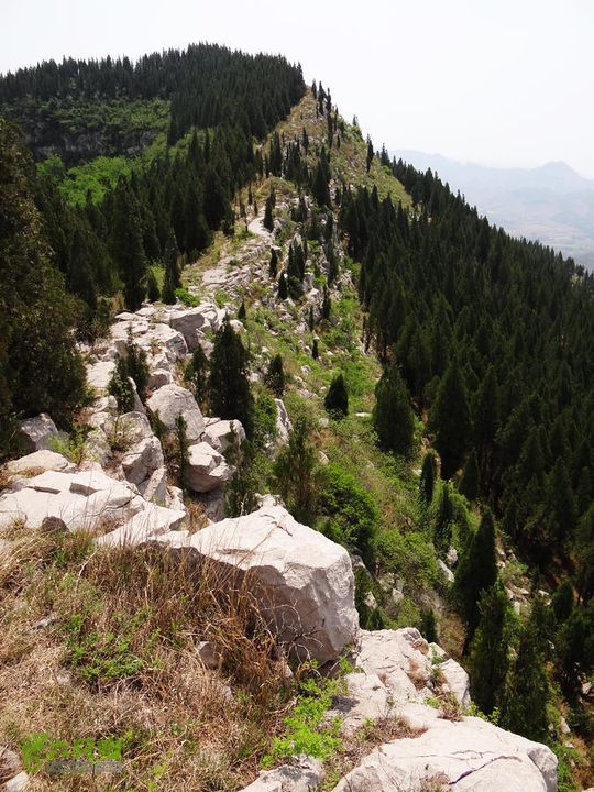 西桐古玉皇山天坑宋家村nEO_IMG_DSC02398