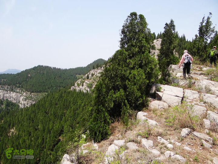 西桐古玉皇山天坑宋家村nEO_IMG_DSC02399