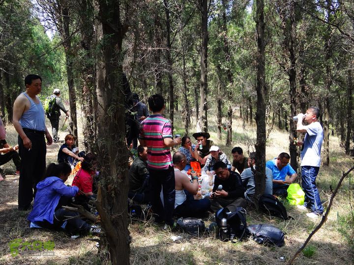 西桐古玉皇山天坑宋家村nEO_IMG_DSC02400